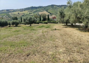 Foto 13 - Agricultural land Contrada Magazzini, Acquaviva Picena - photo 13