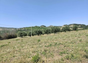 Foto 18 - Agricultural land Contrada Magazzini, Acquaviva Picena - photo 18