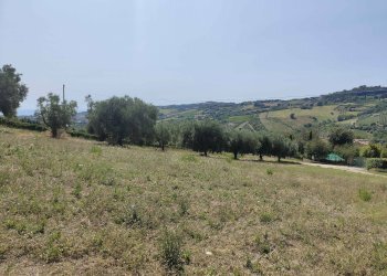 Foto 19 - Agricultural land Contrada Magazzini, Acquaviva Picena - photo 19