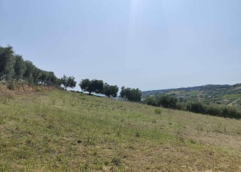 Foto 22 - Agricultural land Contrada Magazzini, Acquaviva Picena - photo 22