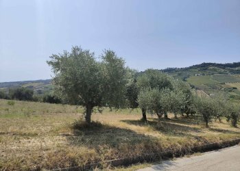 Foto 23 - Agricultural land Contrada Magazzini, Acquaviva Picena - photo 23