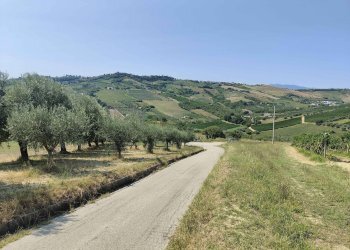 Foto 24 - Agricultural land Contrada Magazzini, Acquaviva Picena - photo 24