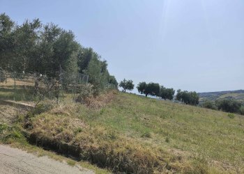 Foto 25 - Agricultural land Contrada Magazzini, Acquaviva Picena - photo 25