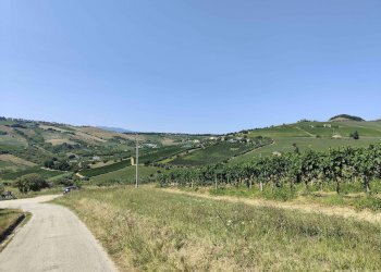 Foto 26 - Agricultural land Contrada Magazzini, Acquaviva Picena - photo 26