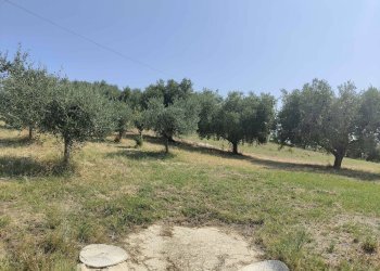 Foto 28 - Agricultural land Contrada Magazzini, Acquaviva Picena - photo 28