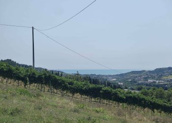 Foto 29 - Agricultural land Contrada Magazzini, Acquaviva Picena - photo 29