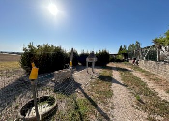 Giardino - Villa Via Dei Rutuli, Aprilia - foto 4