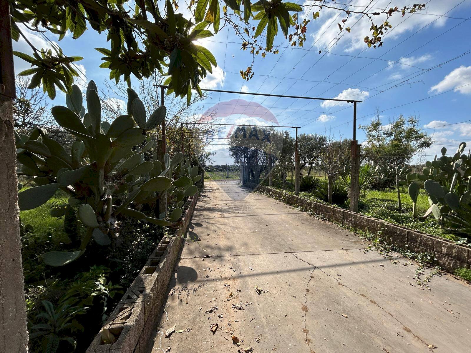 Foto 2 - Casa indipendente via isola di zannone
 
4, Lanuvio - foto 2