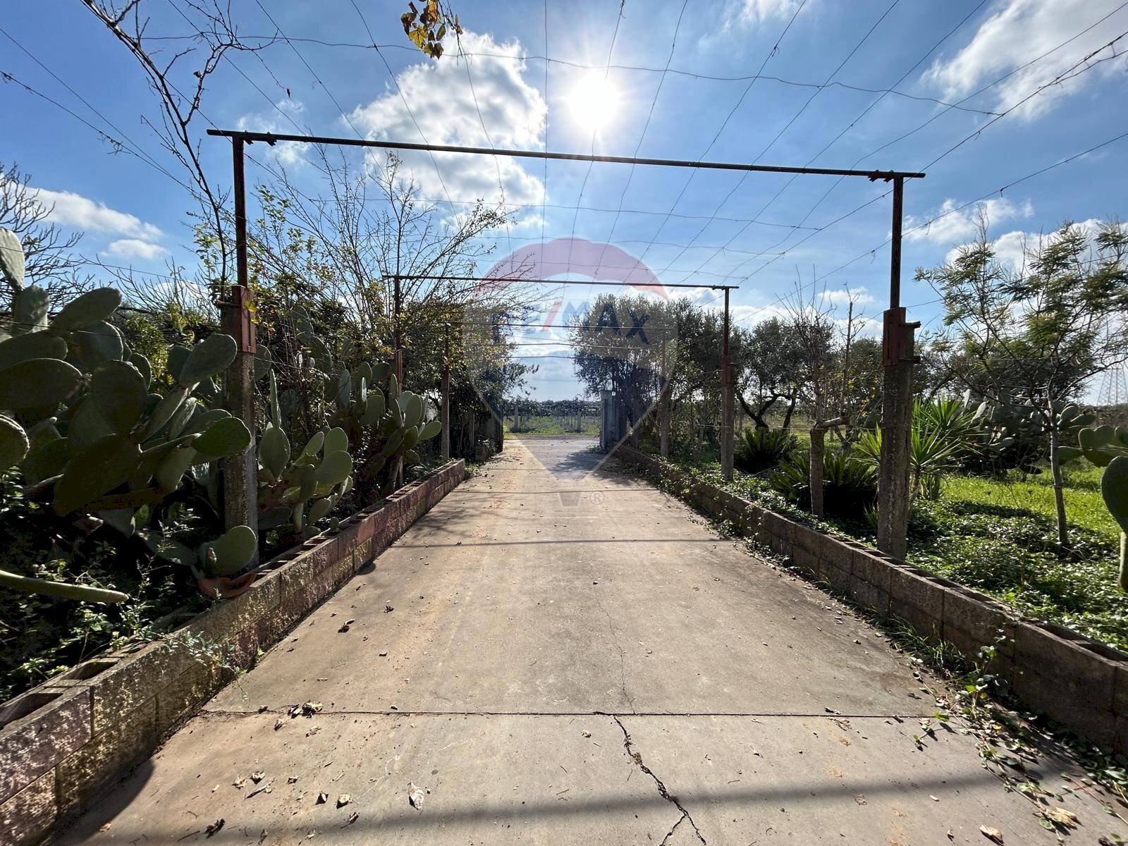 Foto 3 - Casa indipendente via isola di zannone
 
4, Lanuvio - foto 3