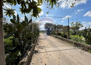 Foto 2 - Casa indipendente via isola di zannone
 
4, Lanuvio - foto 2