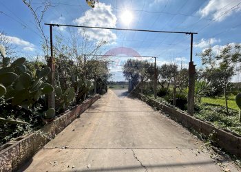 Foto 3 - Casa indipendente via isola di zannone
 
4, Lanuvio - foto 3