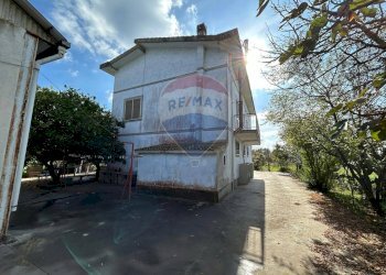 Foto 7 - Casa indipendente via isola di zannone
 
4, Lanuvio - foto 7