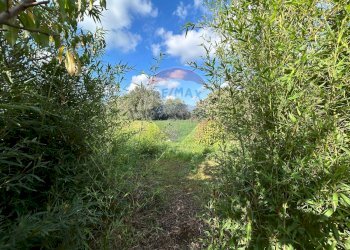 Foto 12 - Casa indipendente via isola di zannone
 
4, Lanuvio - foto 12