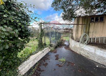 Foto 9 - Villa via dei rutuli
 
95, Aprilia - photo 9