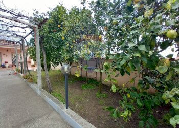 Foto 29 - Villa Via Pietri
 
snc, Aprilia - photo 29