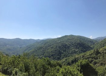 Foto 7 - Two-room apartment VIA ROMA
 
3, Montaldo di Mondovì - photo 7