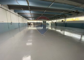 Area Produzione - Capannone Casciana Terme Lari - foto 6