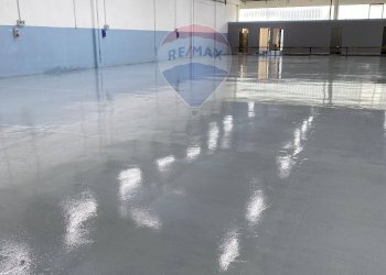 Area Produzione - Capannone Casciana Terme Lari - foto 7