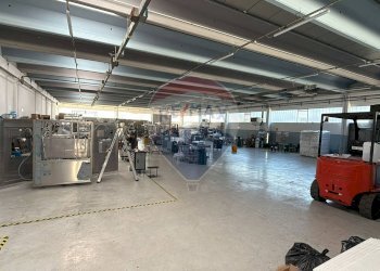 Area Produzione - Capannone Casciana Terme Lari - foto 8