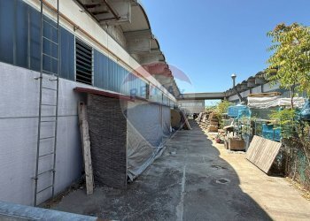 Esterno - Capannone Casciana Terme Lari - foto 11