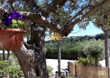 Foto 4 - Residence Contrada Fonte Trufo
 
15, Massignano - foto 4