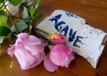 Foto 11 - Residence Contrada Fonte Trufo
 
15, Massignano - foto 8