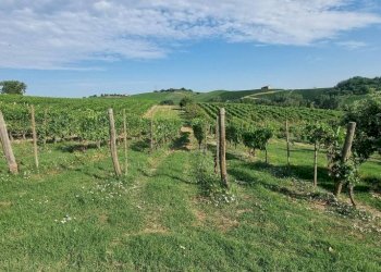 Terreno - Rustico Castelnuovo Calcea - foto 1
