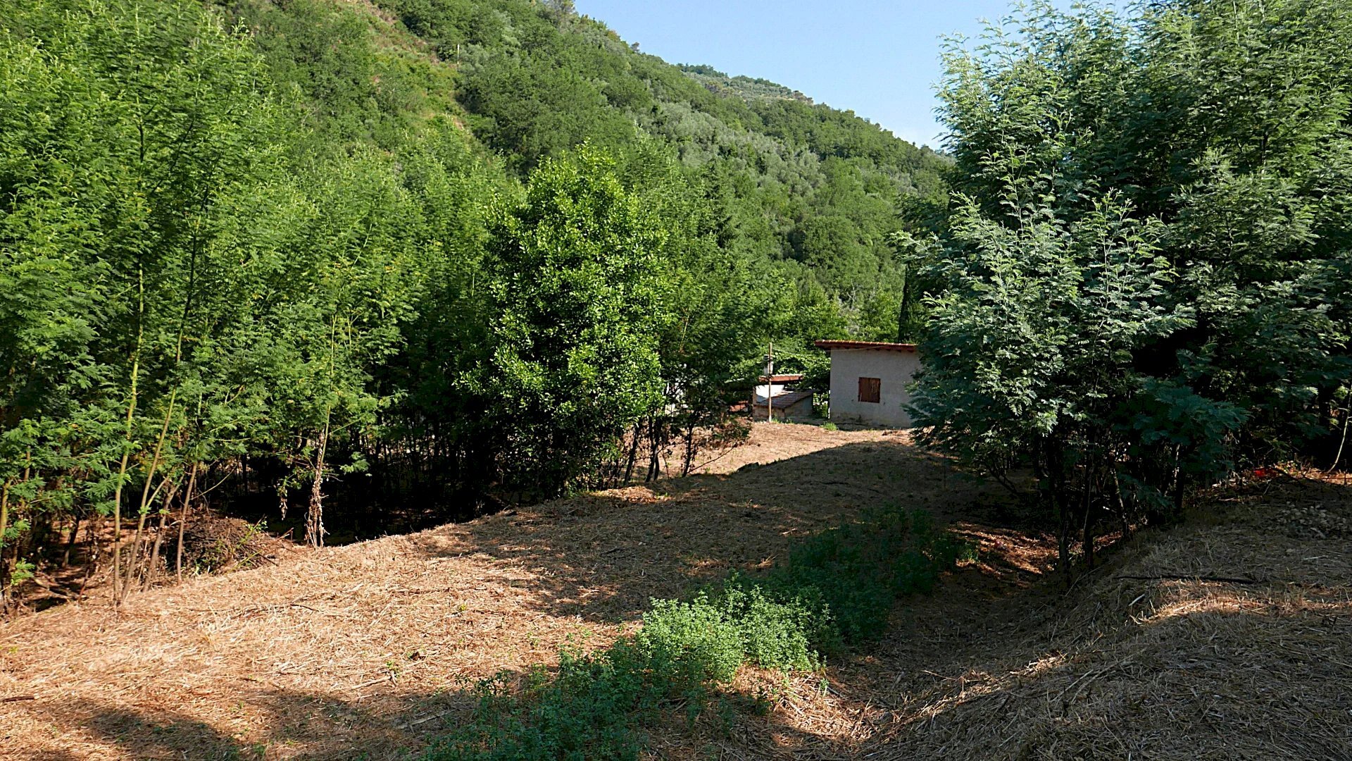 Casale Apricale, Apricale - foto 2