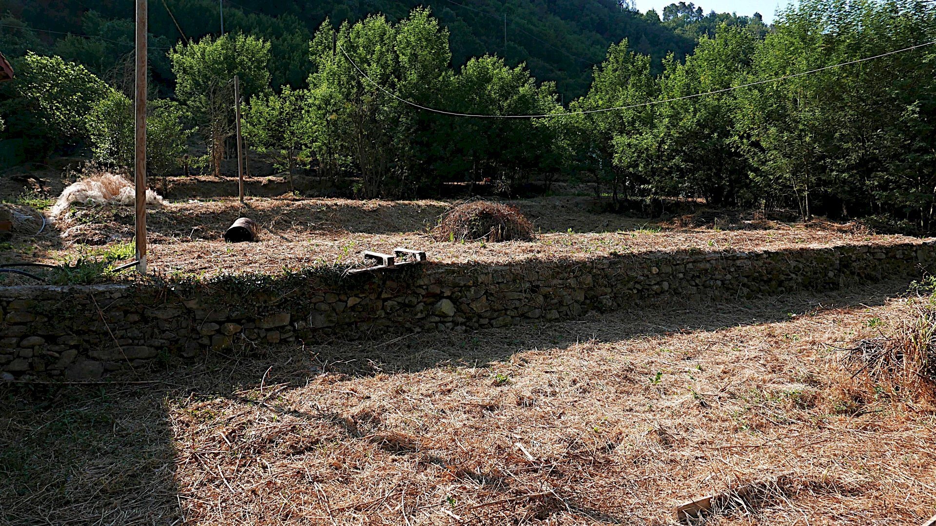 Casale Apricale, Apricale - foto 3