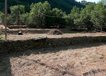 Casale Apricale, Apricale - foto 3