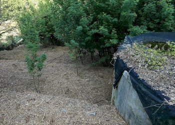 Casale Apricale, Apricale - foto 5