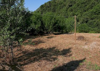 Casale Apricale, Apricale - foto 9