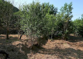 Casale Apricale, Apricale - foto 11