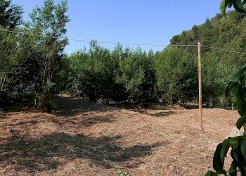 Casale Apricale, Apricale - foto 22