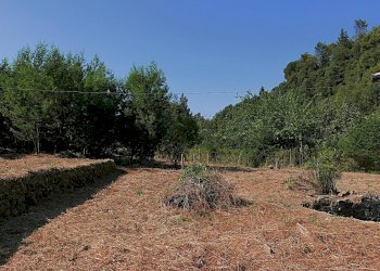 Casale Apricale, Apricale - foto 33