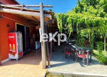 Azienda agricola Asti - foto 12