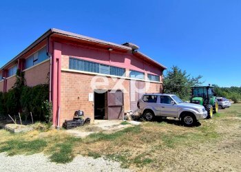 Azienda agricola Asti - foto 15