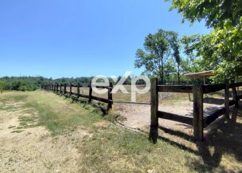 Azienda agricola Asti - foto 28