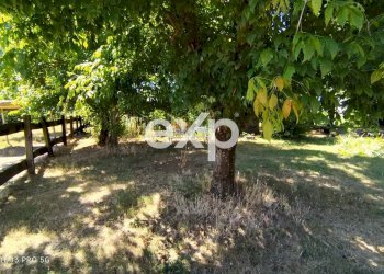 Azienda agricola Asti - foto 29