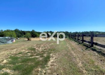 Azienda agricola Asti - foto 30