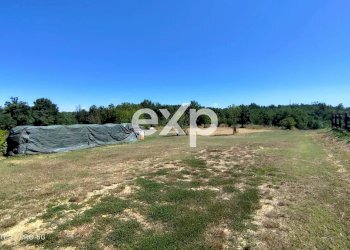 Azienda agricola Asti - foto 31