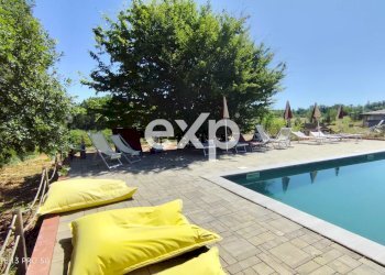 Azienda agricola Asti - foto 49