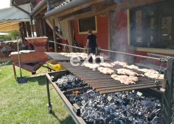 Azienda agricola Asti - foto 67