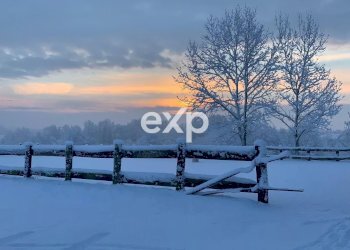 Azienda agricola Asti - foto 70