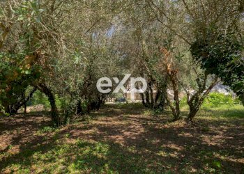 Casa indipendente Via Cesanense, Monte Porzio - foto 6