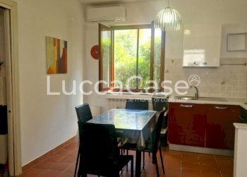 Apartment Lucca (neighborhood San Concordio Contrada) - photo 5