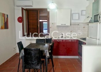 Apartment Lucca (neighborhood San Concordio Contrada) - photo 8