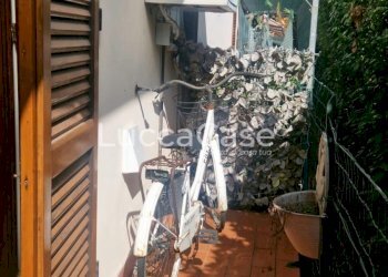 Apartment Lucca (neighborhood San Concordio Contrada) - photo 20