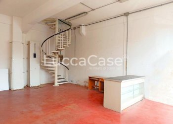 Laboratorio Massarosa - foto 1