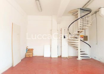 Laboratorio Massarosa - foto 2